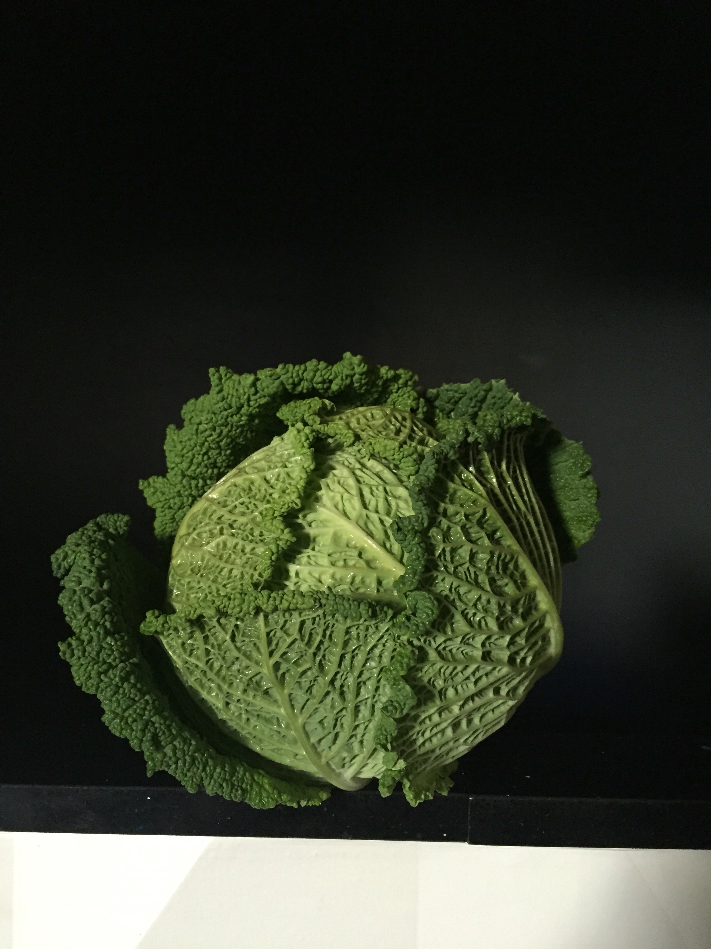 La Verza (Brassica oleracea sabauda )